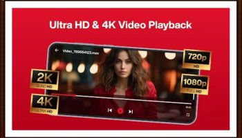 five hearts under one roof erome