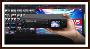 iskoçya özgürlük filmi