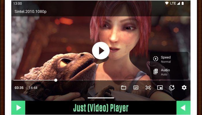 the outlaws türkçe